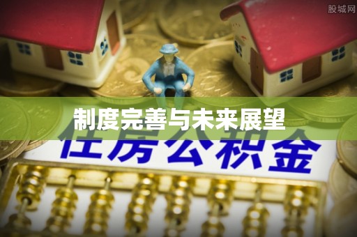 阳谷制度完善与未来展望