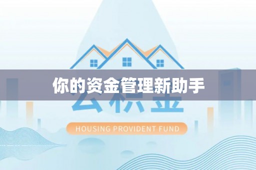 阳谷你的资金管理新助手