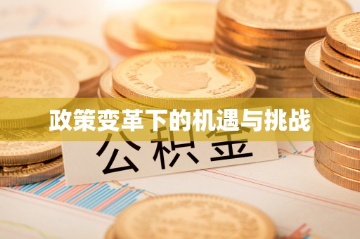 阳谷政策变革下的机遇与挑战