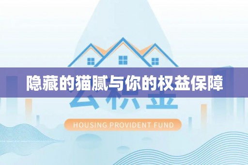 阳谷隐藏的猫腻与你的权益保障
