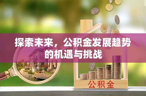 阳谷探索未来，公积金发展趋势的机遇与挑战