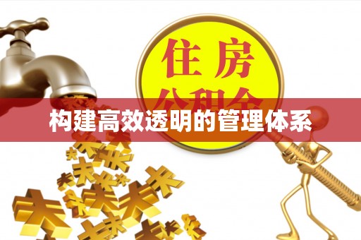 阳谷构建高效透明的管理体系