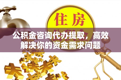 阳谷公积金咨询代办提取，高效解决你的资金需求问题
