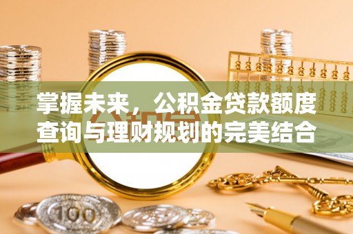 阳谷掌握未来，公积金贷款额度查询与理财规划的完美结合