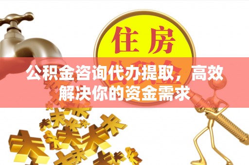 阳谷公积金咨询代办提取，高效解决你的资金需求