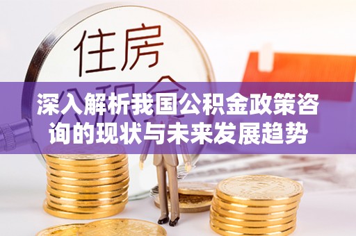 阳谷深入解析我国公积金政策咨询的现状与未来发展趋势
