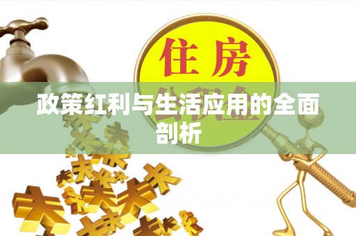 阳谷政策红利与生活应用的全面剖析