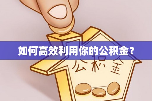阳谷如何高效利用你的公积金？