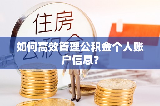 阳谷如何高效管理公积金个人账户信息？