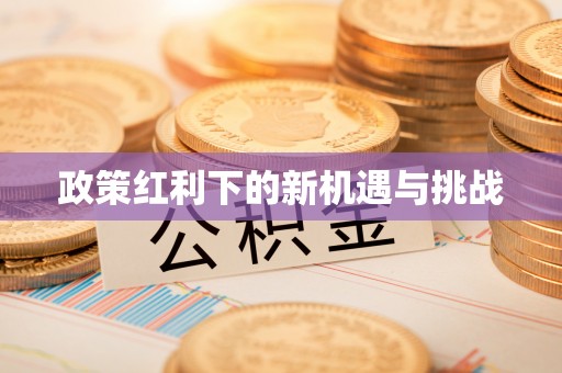 阳谷政策红利下的新机遇与挑战