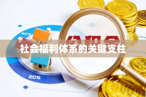 阳谷社会福利体系的关键支柱