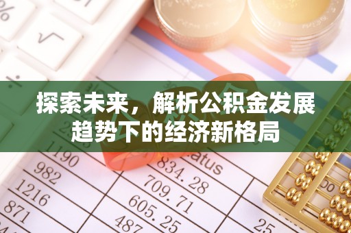 阳谷探索未来，解析公积金发展趋势下的经济新格局