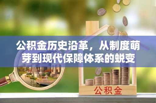 阳谷公积金历史沿革，从制度萌芽到现代保障体系的蜕变