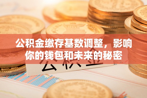 阳谷公积金缴存基数调整，影响你的钱包和未来的秘密
