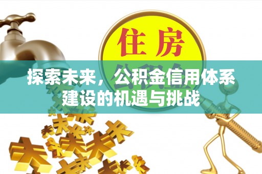 阳谷探索未来，公积金信用体系建设的机遇与挑战