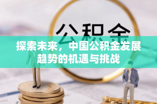 阳谷探索未来，中国公积金发展趋势的机遇与挑战