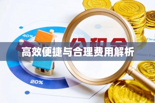 阳谷高效便捷与合理费用解析
