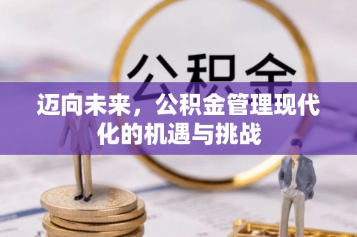 阳谷迈向未来，公积金管理现代化的机遇与挑战