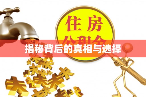 阳谷揭秘背后的真相与选择