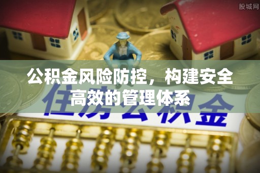 阳谷公积金风险防控，构建安全高效的管理体系