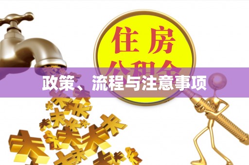 阳谷政策、流程与注意事项