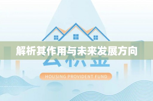 阳谷解析其作用与未来发展方向