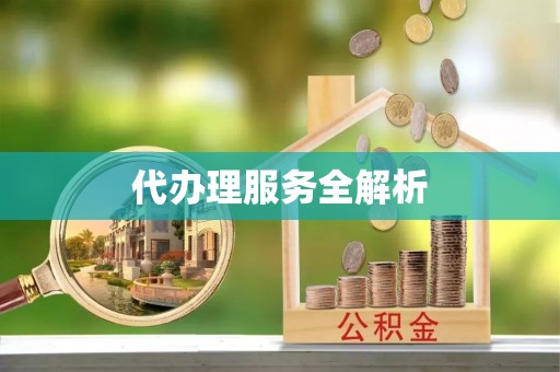 阳谷代办理服务全解析