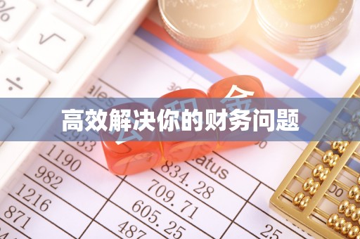 阳谷高效解决你的财务问题