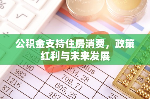 阳谷公积金支持住房消费，政策红利与未来发展
