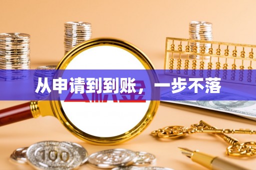阳谷从申请到到账，一步不落