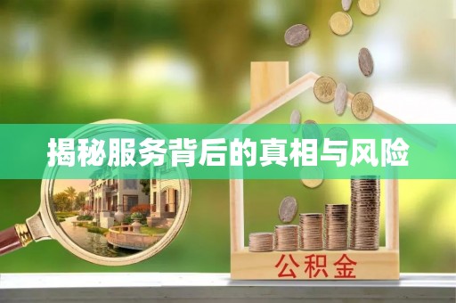 阳谷揭秘服务背后的真相与风险