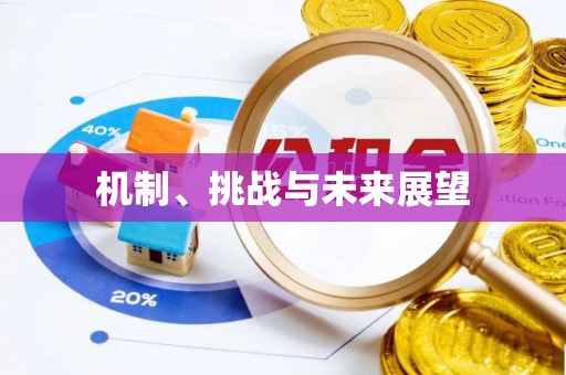 阳谷机制、挑战与未来展望